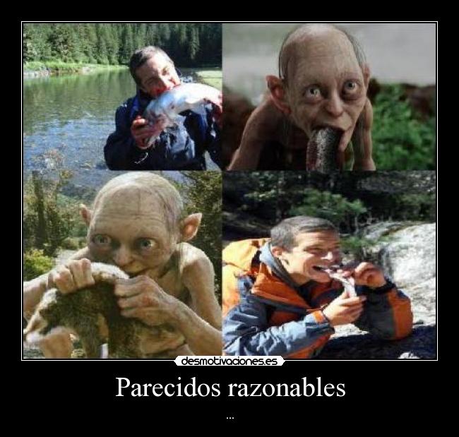 Parecidos razonables - ...