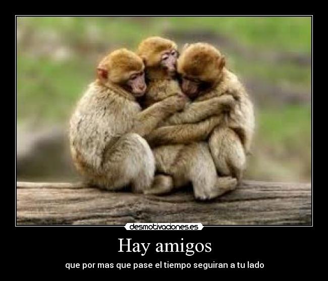 Hay amigos -