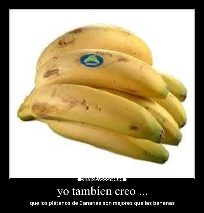 yo tambíen creo ... -