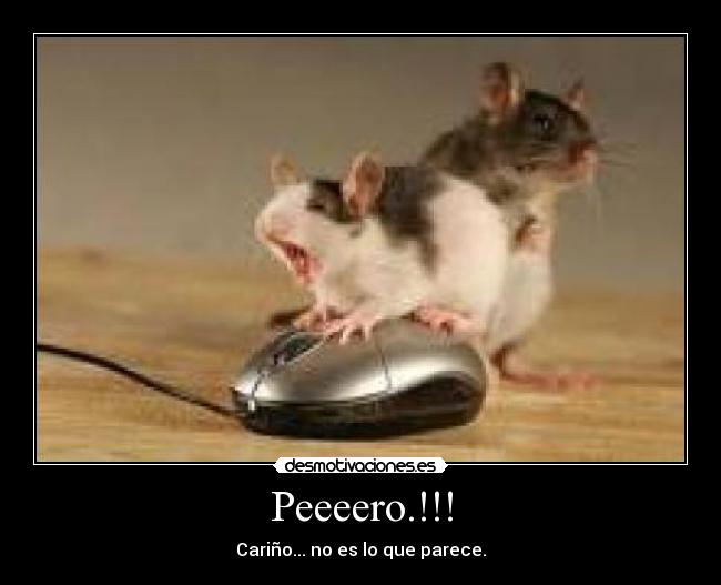 Peeeero.!!! -