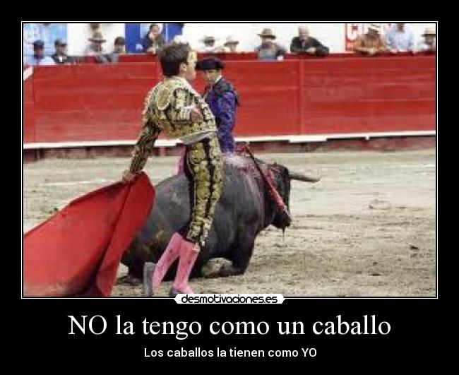 NO la tengo como un caballo - 
