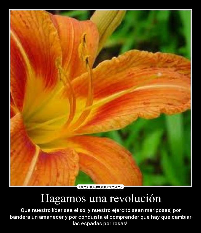 Hagamos una revolución - Que nuestro líder sea el sol y nuestro ejercito sean mariposas, por
bandera un amanecer y por conquista el comprender que hay que cambiar
las espadas por rosas! 