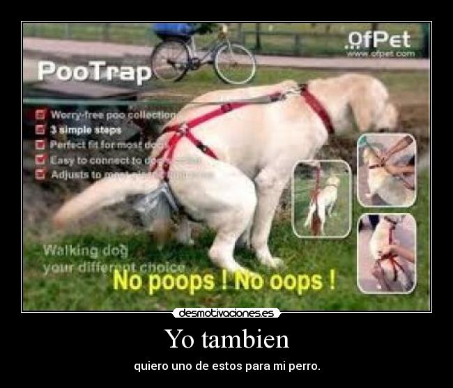 Yo tambien - quiero uno de estos para mi perro.