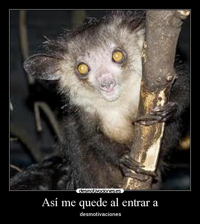 Así me quede al entrar a - 