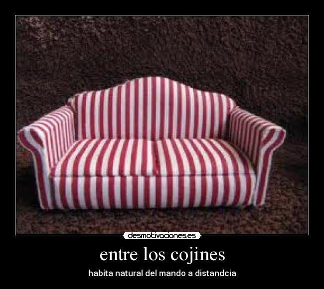 entre los cojines - 