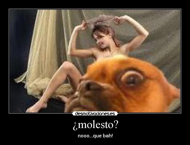 ¿molesto? - nooo...que bah!