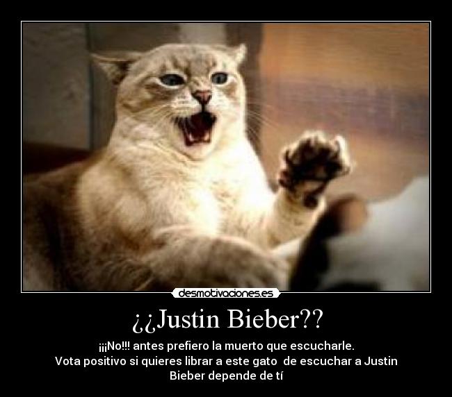 ¿¿Justin Bieber?? - 