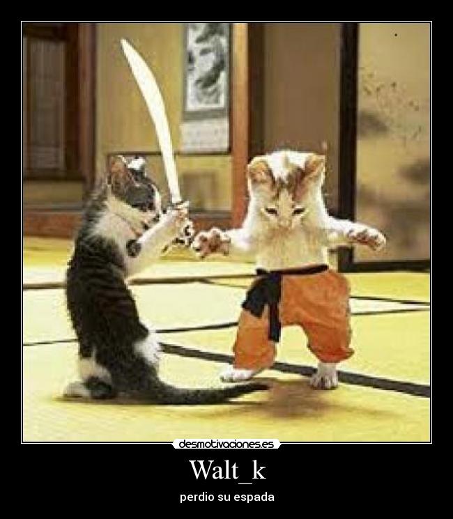 Walt_k - perdio su espada