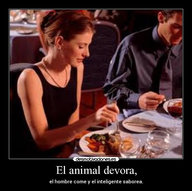 carteles animal hombre inteligente desmotivaciones