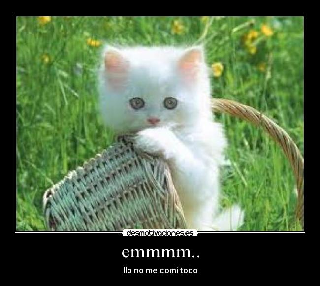 emmmm.. - llo no me comi todo