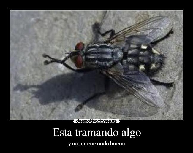 carteles desmotivaciones