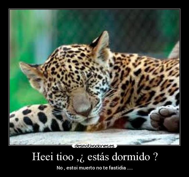 Heei tioo ,¿ estás dormido ? -
