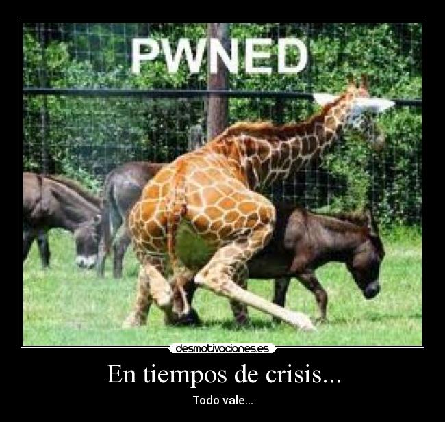 En tiempos de crisis... -
