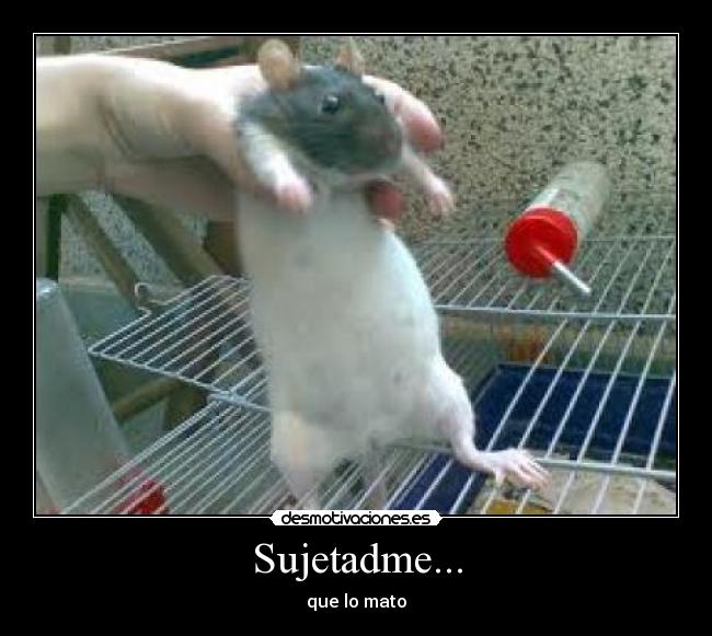 Sujetadme... - que lo mato