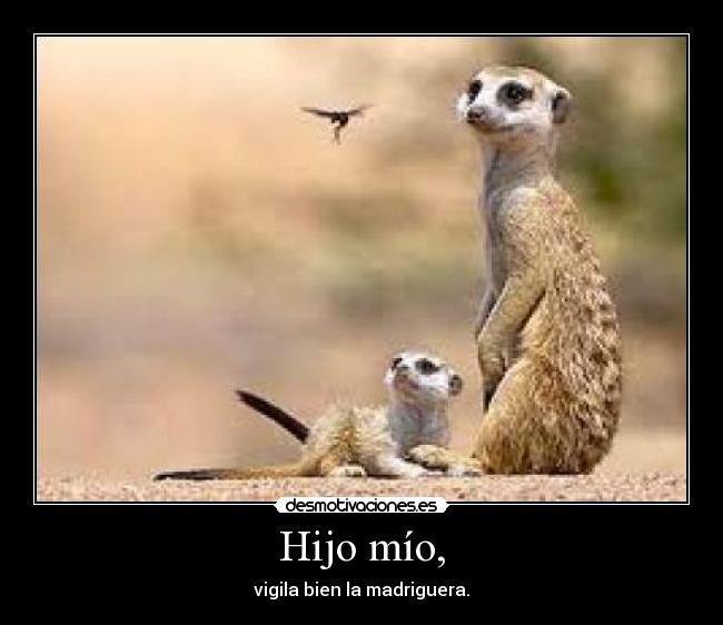 Hijo mío, - vigila bien la madriguera.