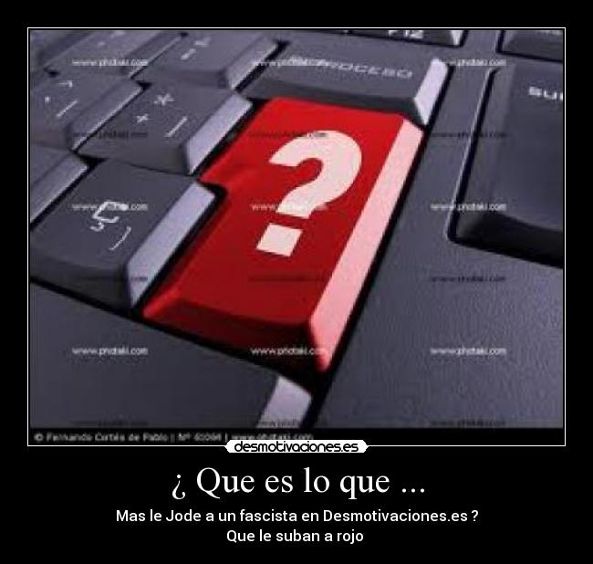 ¿ Que es lo que ... -