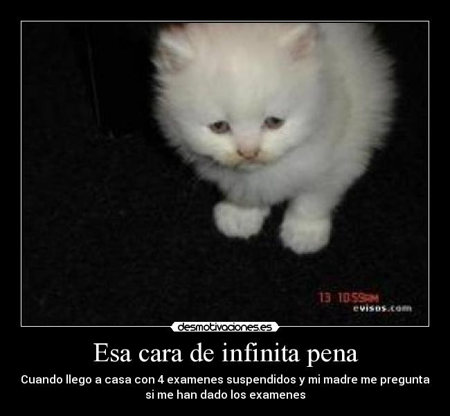 Esa cara de infinita pena -