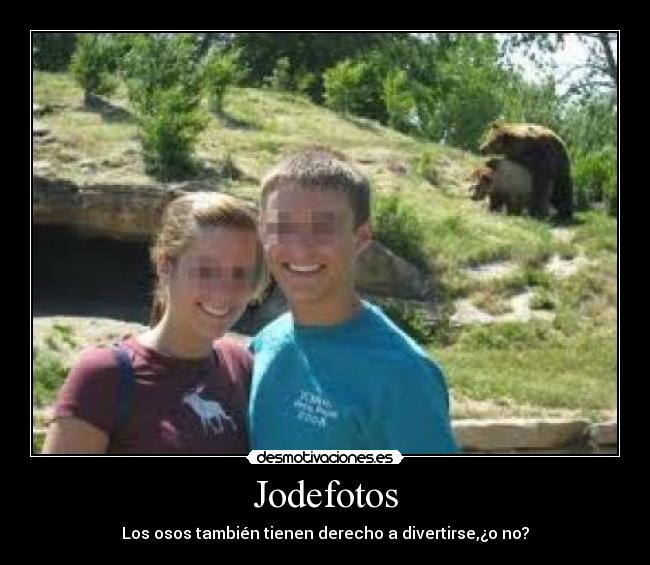 Jodefotos - Los osos también tienen derecho a divertirse,¿o no?