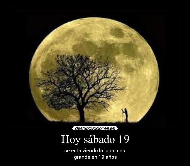 carteles lina desmotivaciones