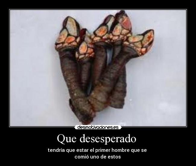 Que desesperado  - 
