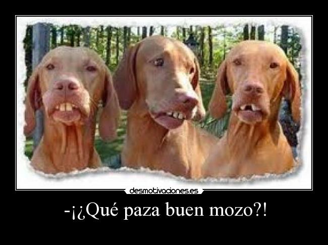 -¡¿Qué paza buen mozo?! -