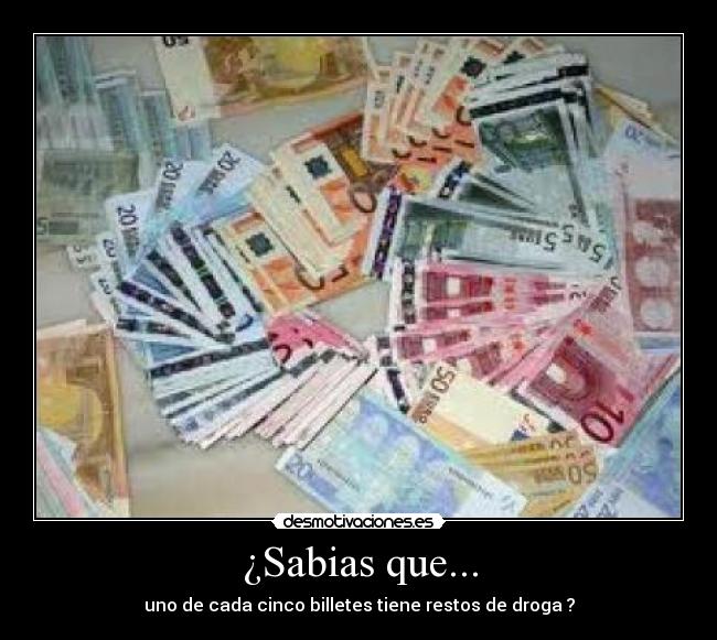 ¿Sabias que... - uno de cada cinco billetes tiene restos de droga ?