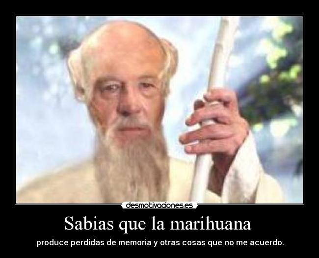Sabias que la marihuana - produce perdidas de memoria y otras cosas que no me acuerdo.