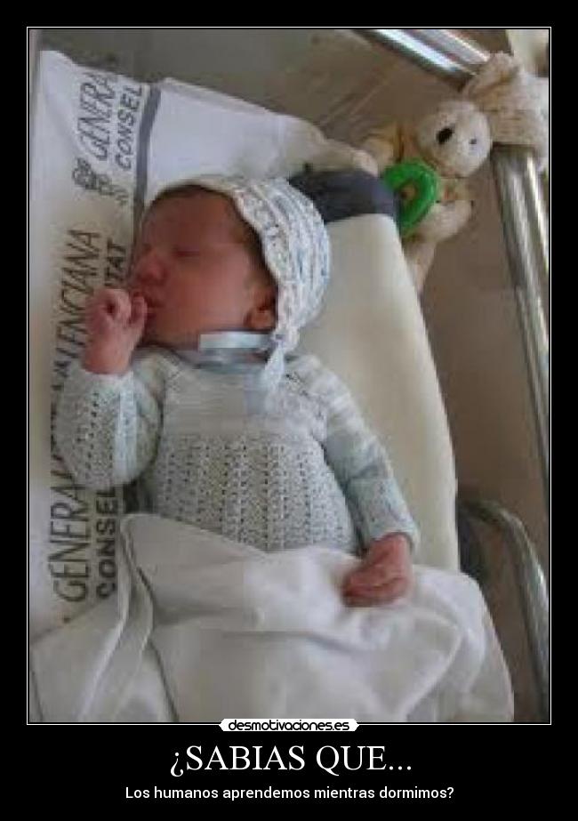 carteles _np desmotivaciones