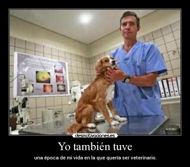 Yo también tuve - una época de mi vida en la que quería ser veterinario.