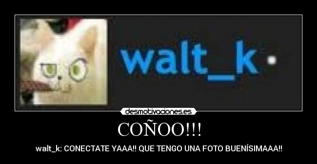 COÑOO!!! - walt_k: CONECTATE YAAA!! QUE TENGO UNA FOTO BUENÍSIMAAA!!