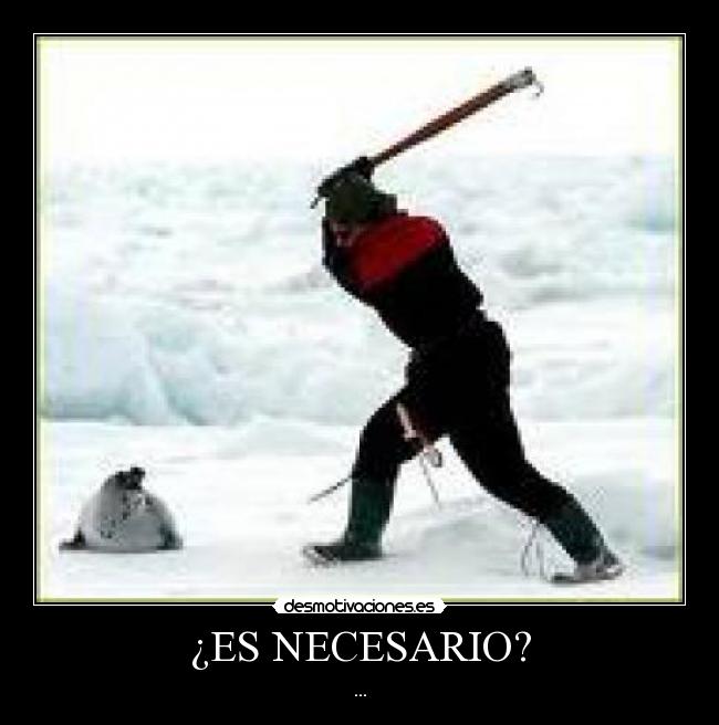 ¿ES NECESARIO? - 