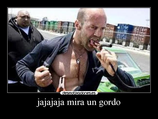 jajajaja mira un gordo -