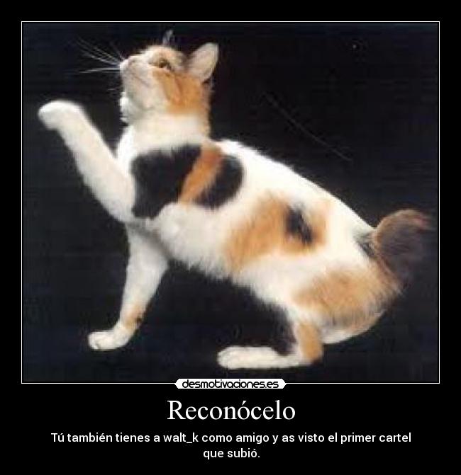 Reconócelo - Tú también tienes a walt_k como amigo y as visto el primer cartel que subió.
