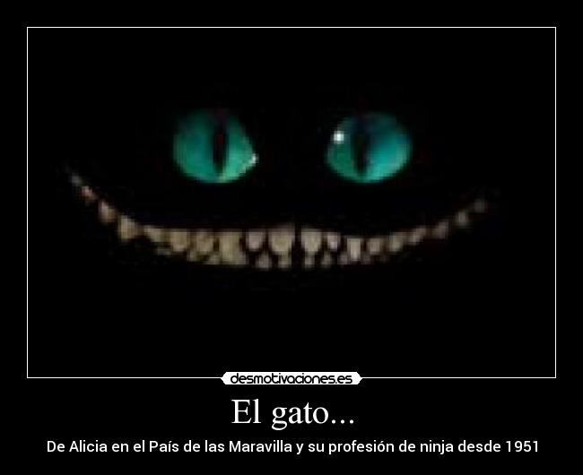 El gato... -