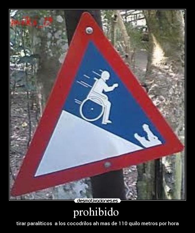 prohibido  - tirar paralíticos  a los cocodrilos ah mas de 110 quilo metros por hora