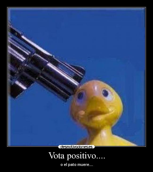 Vota positivo.... -