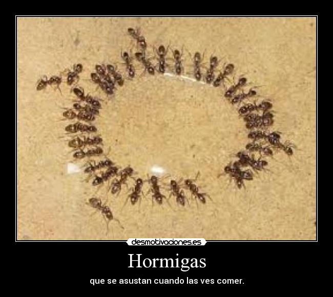 carteles hormigas desmotivaciones