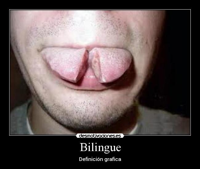 Bilingue -