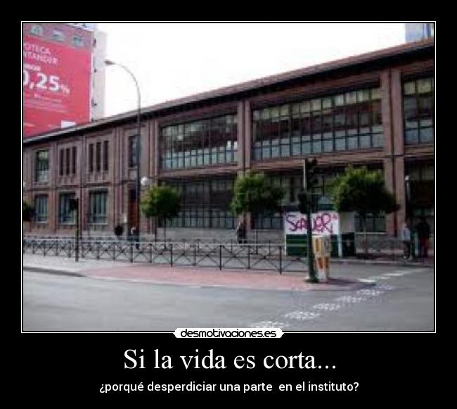 Si la vida es corta... - ¿porqué desperdiciar una parte  en el instituto?