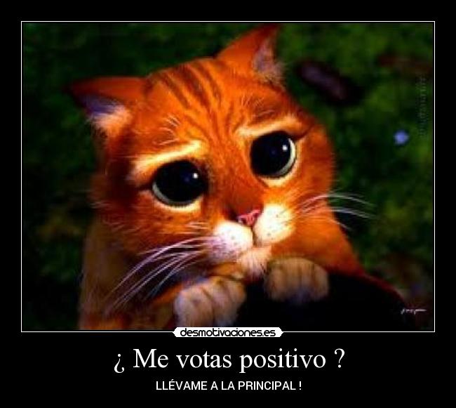 ¿ Me votas positivo ? -