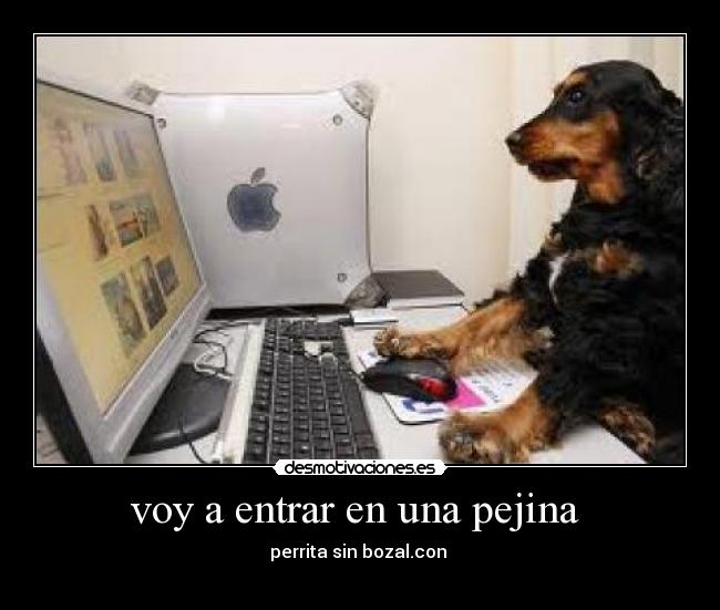 carteles perrita desmotivaciones