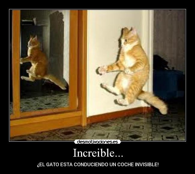 Increible... - 