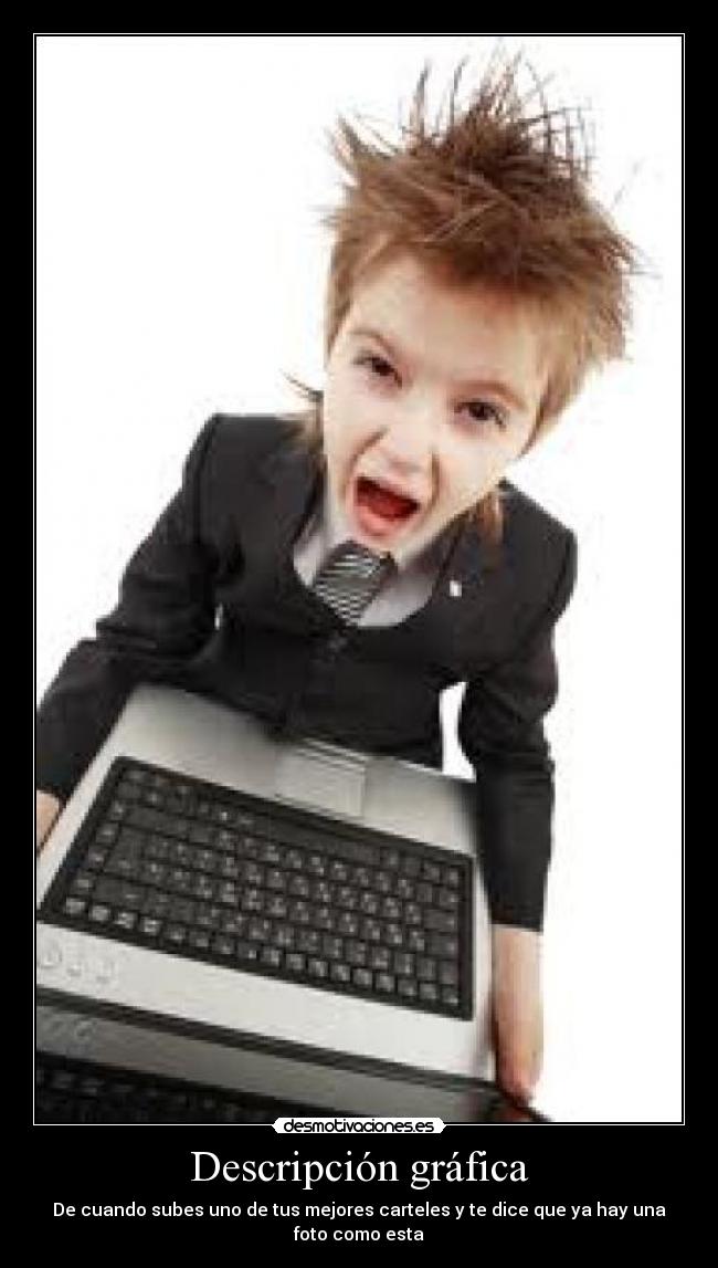 Descripción gráfica -