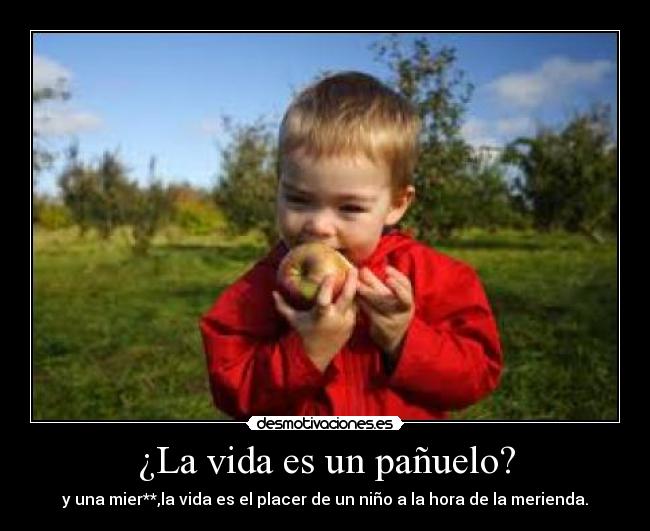 ¿La vida es un pañuelo? - y una mier**,la vida es el placer de un niño a la hora de la merienda.