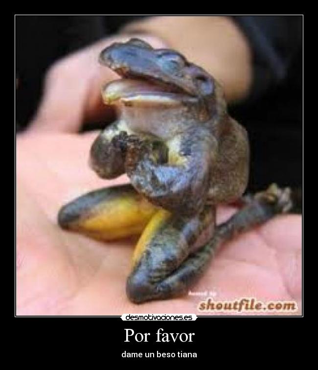 Por favor -
