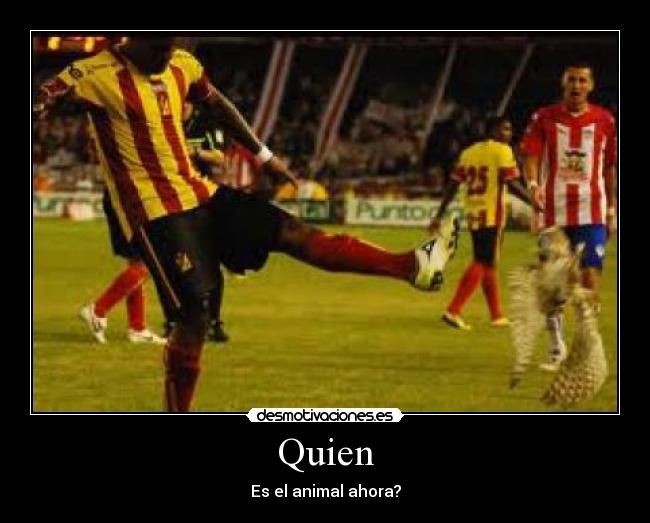 Quien - Es el animal ahora?