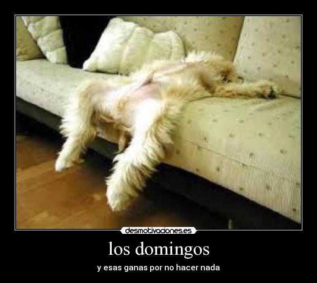 los domingos - y esas ganas por no hacer nada