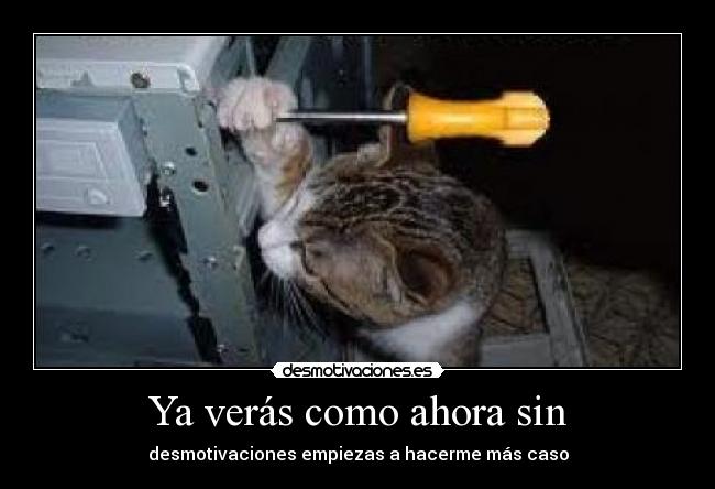 Ya verás como ahora sin -