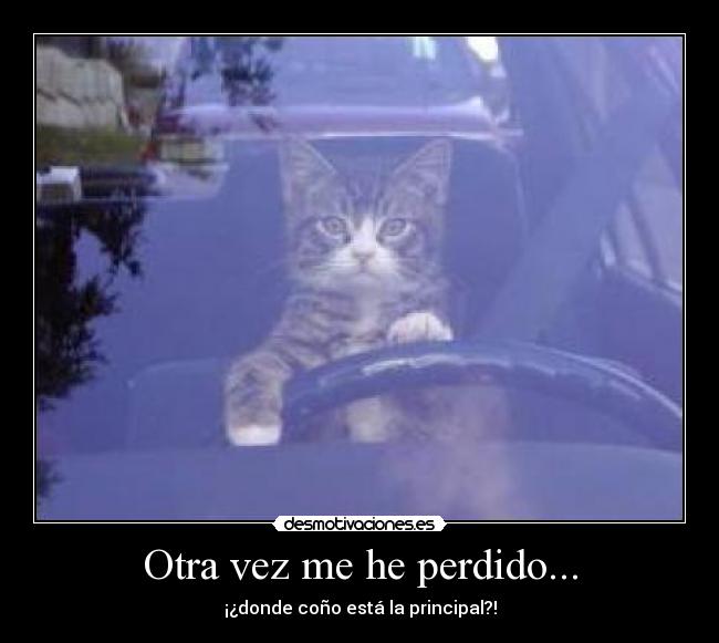 Otra vez me he perdido... - 