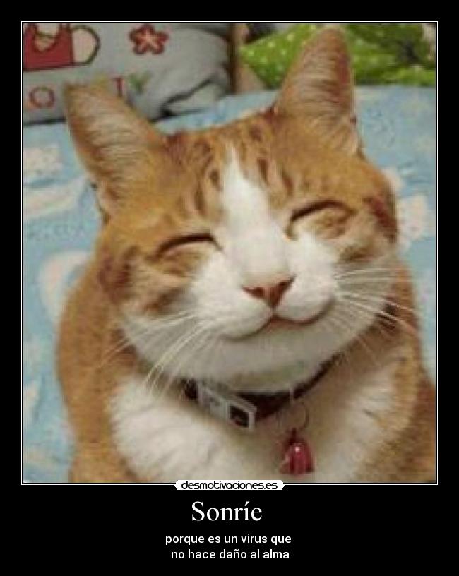 Sonríe -